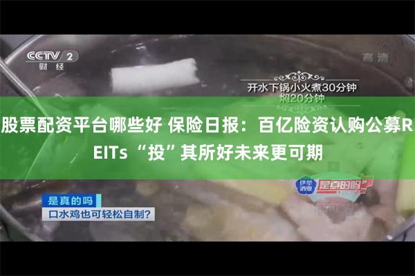 股票配资平台哪些好 保险日报：百亿险资认购公募REITs “投”其所好未来更可期