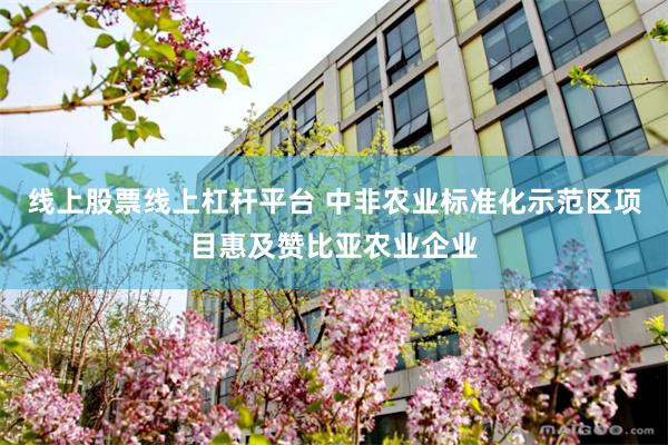 线上股票线上杠杆平台 中非农业标准化示范区项目惠及赞比亚农业企业