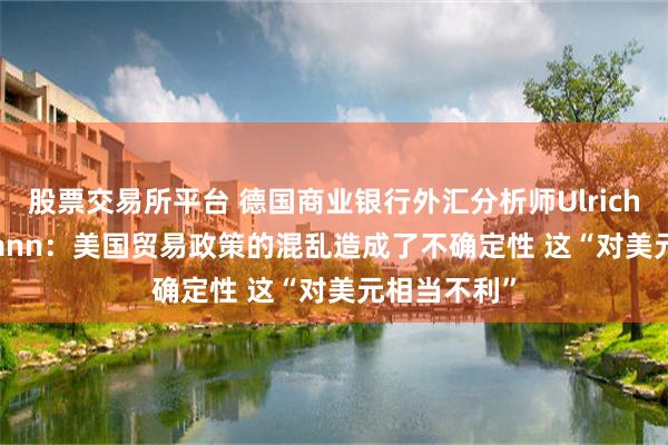 股票交易所平台 德国商业银行外汇分析师Ulrich Leuchtmann：美国贸易政策的混乱造成了不确定性 这“对美元相当不利”