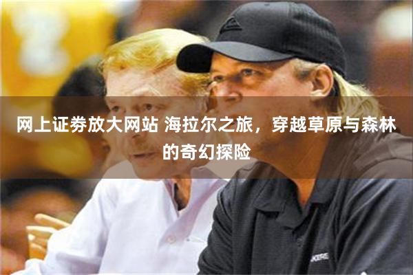 网上证劵放大网站 海拉尔之旅，穿越草原与森林的奇幻探险