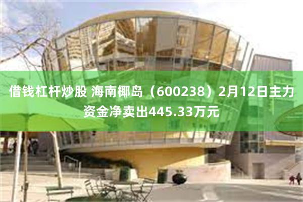 借钱杠杆炒股 海南椰岛（600238）2月12日主力资金净卖出445.33万元