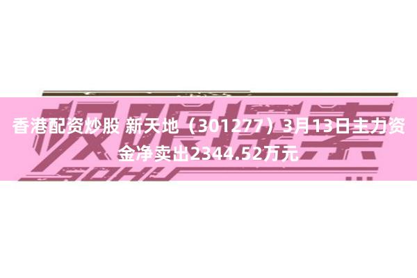 香港配资炒股 新天地（301277）3月13日主力资金净卖出2344.52万元