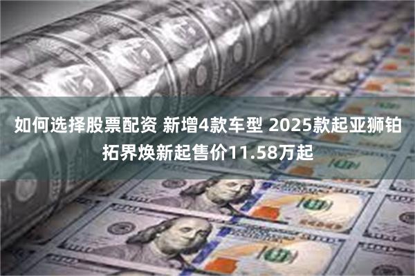 如何选择股票配资 新增4款车型 2025款起亚狮铂拓界焕新起售价11.58万起