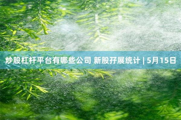 炒股杠杆平台有哪些公司 新股孖展统计 | 5月15日