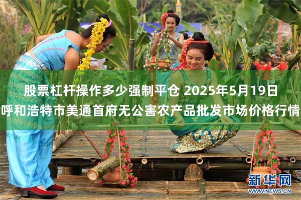 股票杠杆操作多少强制平仓 2025年5月19日呼和浩特市美通首府无公害农产品批发市场价格行情