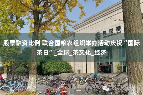 股票融资比例 联合国粮农组织举办活动庆祝“国际茶日”_全球_茶文化_经济