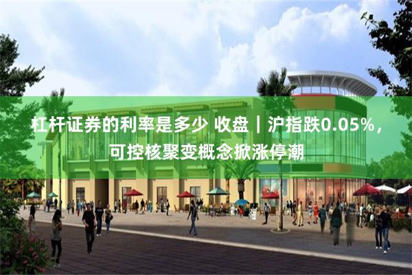 杠杆证券的利率是多少 收盘｜沪指跌0.05%，可控核聚变概念掀涨停潮