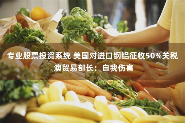 专业股票投资系统 美国对进口钢铝征收50%关税 澳贸易部长：自我伤害