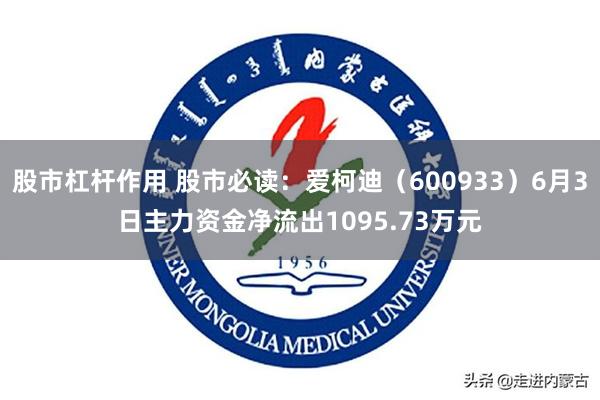 股市杠杆作用 股市必读：爱柯迪（600933）6月3日主力资金净流出1095.73万元