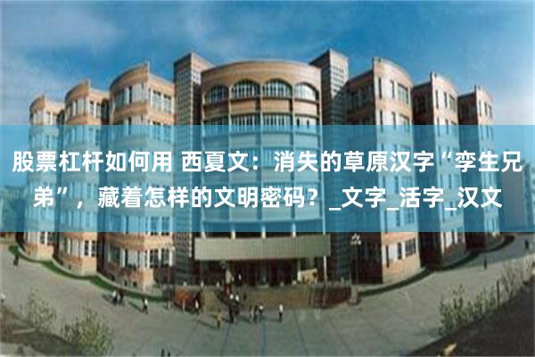 股票杠杆如何用 西夏文：消失的草原汉字“孪生兄弟”，藏着怎样的文明密码？_文字_活字_汉文
