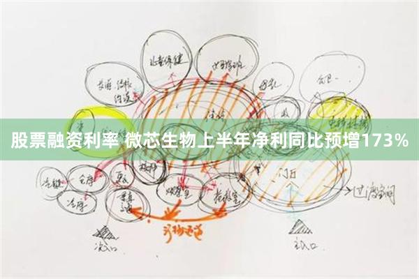 股票融资利率 微芯生物上半年净利同比预增173%