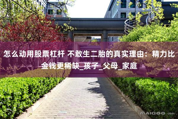 怎么动用股票杠杆 不敢生二胎的真实理由：精力比金钱更稀缺_孩子_父母_家庭