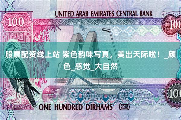 股票配资线上站 紫色韵味写真，美出天际啦！_颜色_感觉_大自然