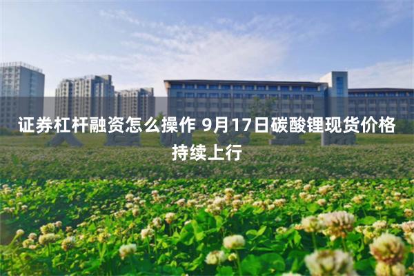 证券杠杆融资怎么操作 9月17日碳酸锂现货价格持续上行