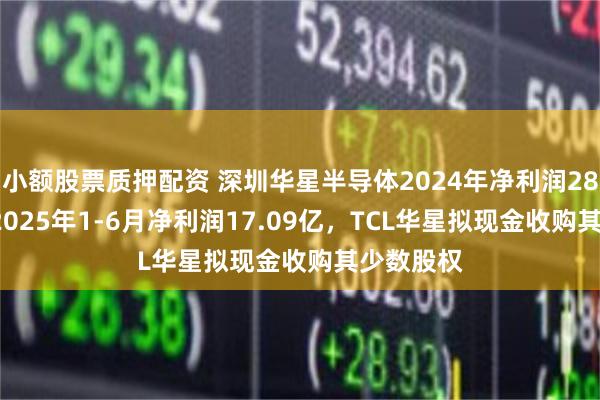 小额股票质押配资 深圳华星半导体2024年净利润28.07亿,2025年1-6月净利润17.09亿,TCL华星拟现金收购其少数股权