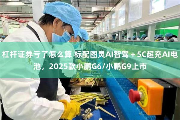 杠杆证券亏了怎么算 标配图灵AI智驾＋5C超充AI电池，2025款小鹏G6/小鹏G9上市