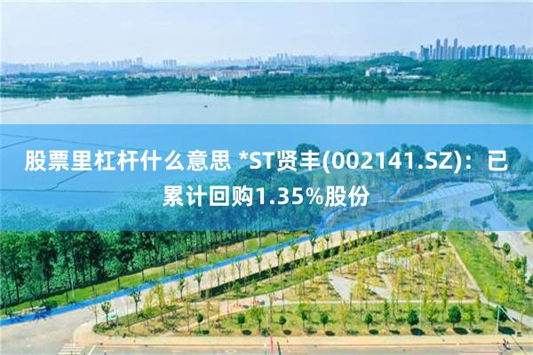 股票里杠杆什么意思 *ST贤丰(002141.SZ)：已累计回购1.35%股份