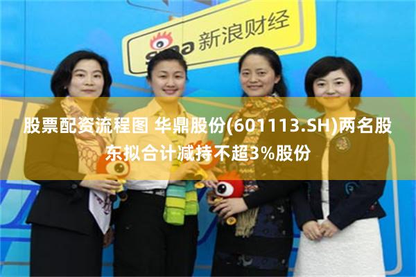 股票配资流程图 华鼎股份(601113.SH)两名股东拟合计减持不超3%股份