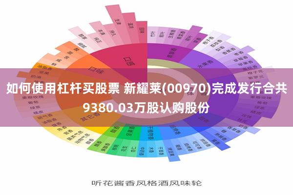 如何使用杠杆买股票 新耀莱(00970)完成发行合共9380.03万股认购股份