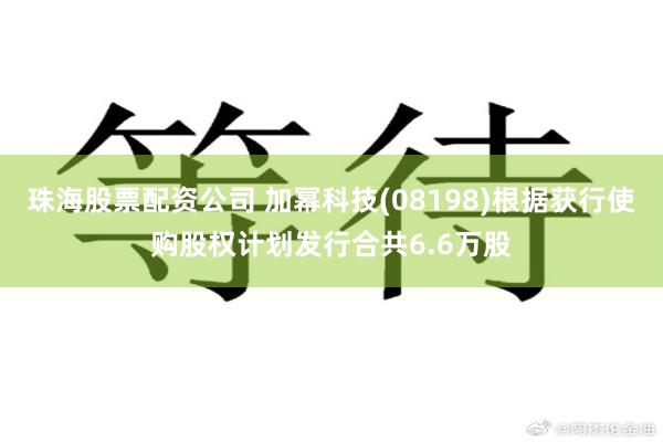 珠海股票配资公司 加幂科技(08198)根据获行使购股权计划发行合共6.6万股