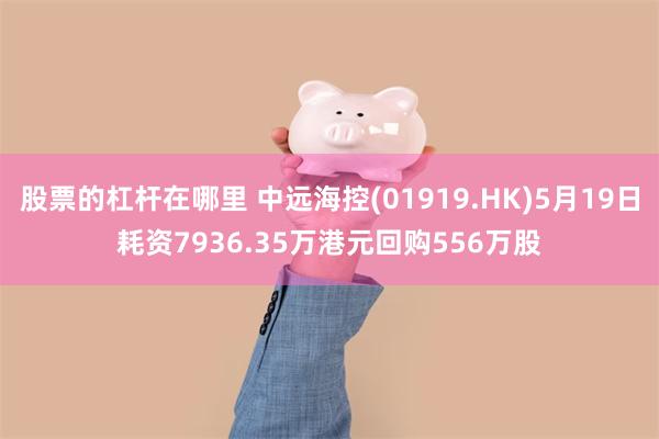股票的杠杆在哪里 中远海控(01919.HK)5月19日耗资7936.35万港元回购556万股