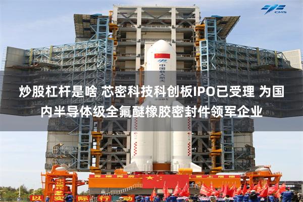 炒股杠杆是啥 芯密科技科创板IPO已受理 为国内半导体级全氟醚橡胶密封件领军企业