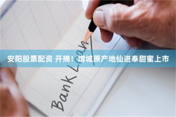 安阳股票配资 开摘！增城原产地仙进奉甜蜜上市
