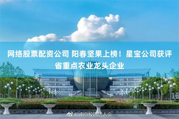 网络股票配资公司 阳春坚果上榜！星宝公司获评省重点农业龙头企业
