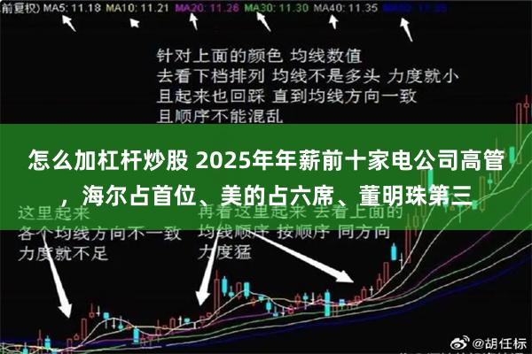 怎么加杠杆炒股 2025年年薪前十家电公司高管，海尔占首位、美的占六席、董明珠第三