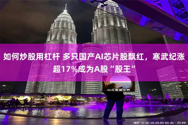如何炒股用杠杆 多只国产AI芯片股飘红，寒武纪涨超17%成为A股“股王”