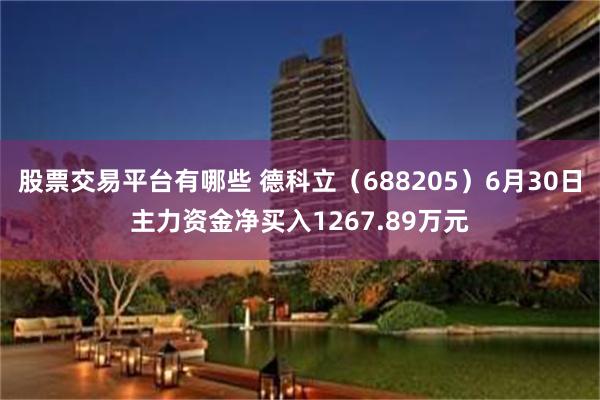 股票交易平台有哪些 德科立（688205）6月30日主力资金净买入1267.89万元