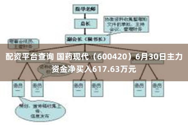 配资平台查询 国药现代（600420）6月30日主力资金净买入617.63万元