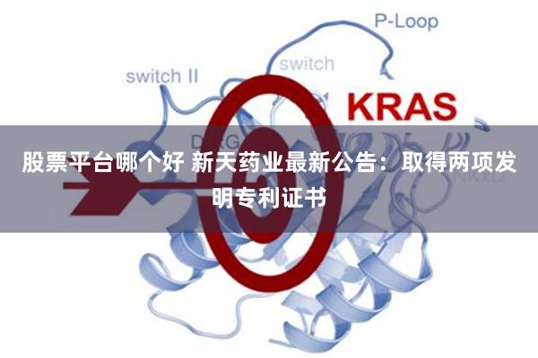 股票平台哪个好 新天药业最新公告:取得两项发明专利证书