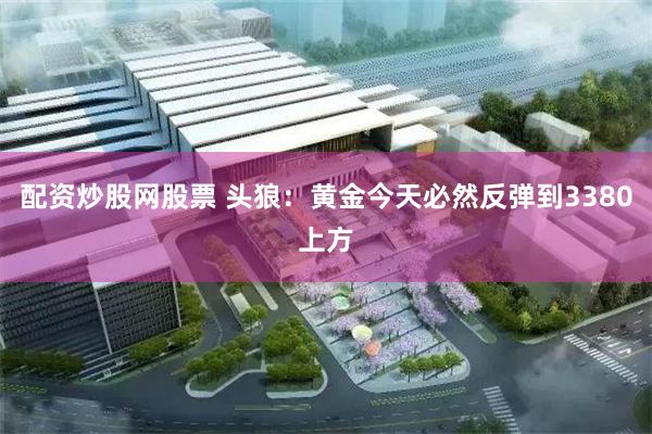 配资炒股网股票 头狼：黄金今天必然反弹到3380上方