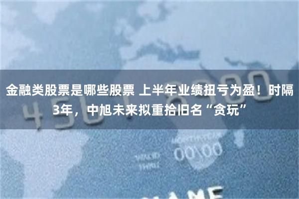 金融类股票是哪些股票 上半年业绩扭亏为盈！时隔3年，中旭未来拟重拾旧名“贪玩”
