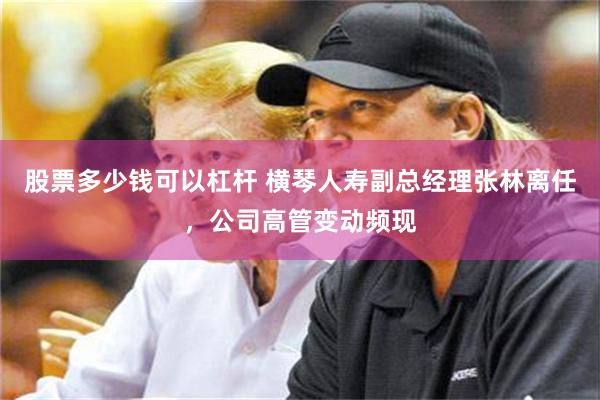 股票多少钱可以杠杆 横琴人寿副总经理张林离任，公司高管变动频现