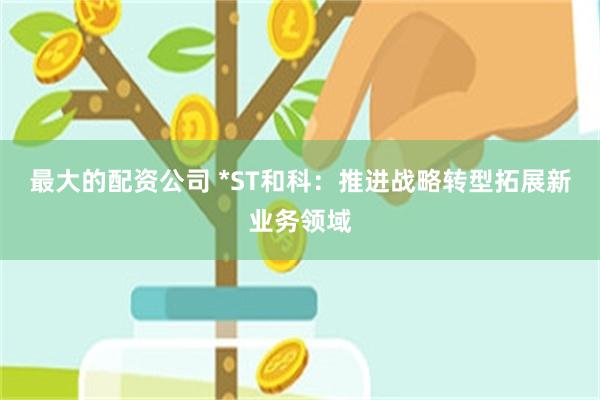 最大的配资公司 *ST和科：推进战略转型拓展新业务领域