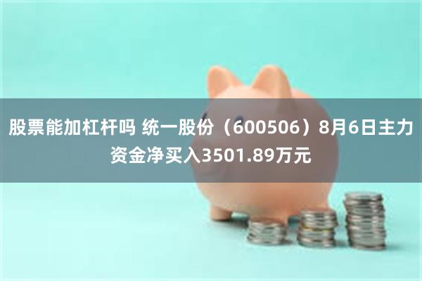 股票能加杠杆吗 统一股份（600506）8月6日主力资金净买入3501.89万元