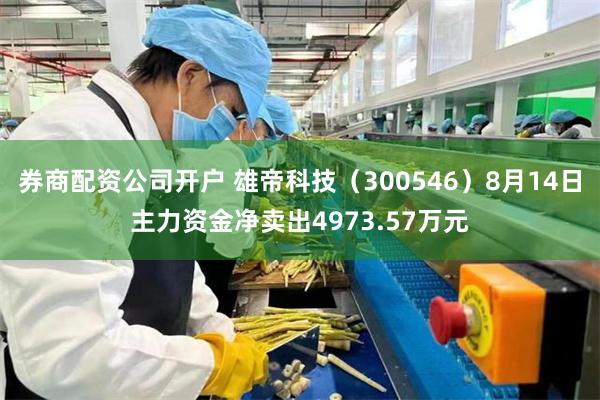 券商配资公司开户 雄帝科技（300546）8月14日主力资金净卖出4973.57万元