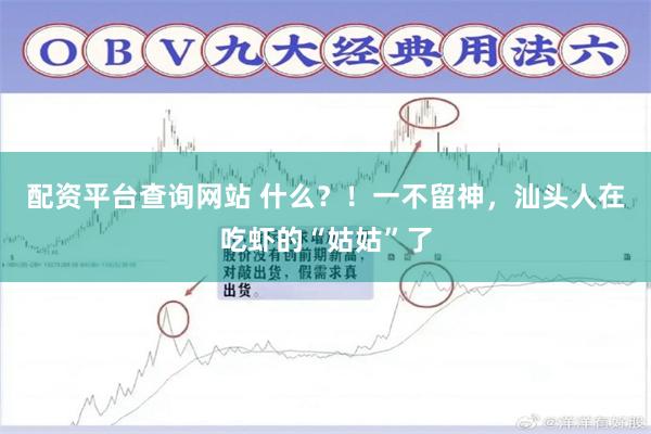 配资平台查询网站 什么？！一不留神，汕头人在吃虾的“姑姑”了