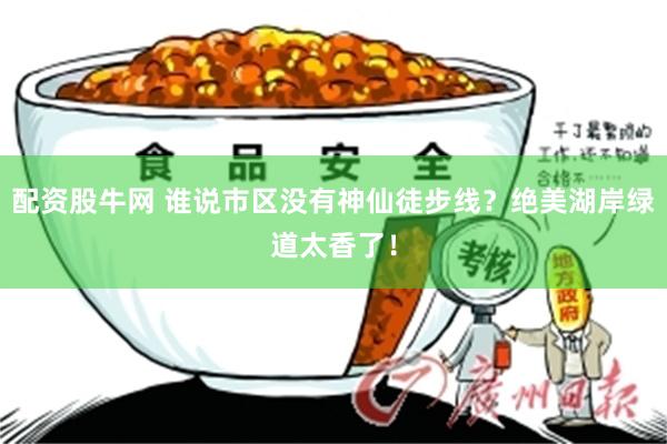 配资股牛网 谁说市区没有神仙徒步线？绝美湖岸绿道太香了！