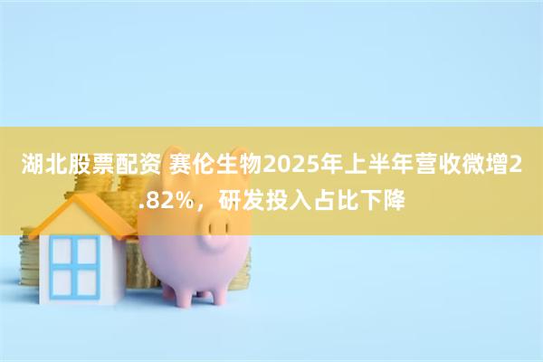 湖北股票配资 赛伦生物2025年上半年营收微增2.82%，研发投入占比下降