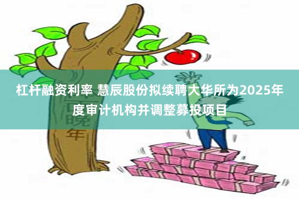 杠杆融资利率 慧辰股份拟续聘大华所为2025年度审计机构并调整募投项目