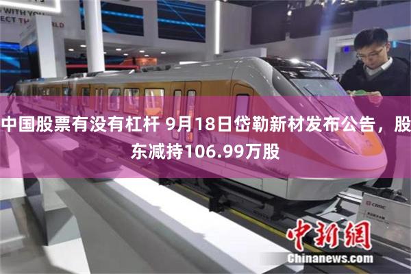 中国股票有没有杠杆 9月18日岱勒新材发布公告，股东减持106.99万股