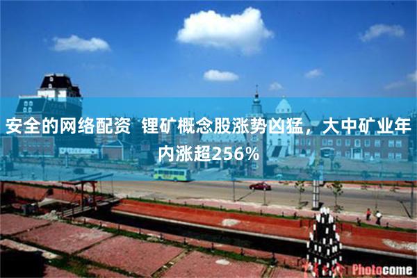 安全的网络配资  锂矿概念股涨势凶猛，大中矿业年内涨超256%