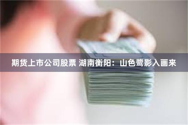 期货上市公司股票 湖南衡阳：山色鹭影入画来