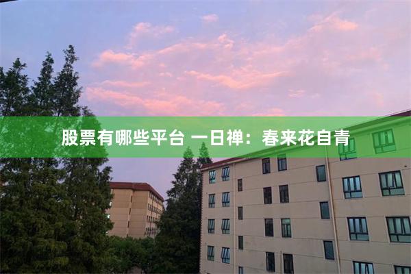 股票有哪些平台 一日禅：春来花自青