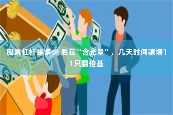 股票杠杆是多少 胜在“含光量”,几天时间骤增11只翻倍基