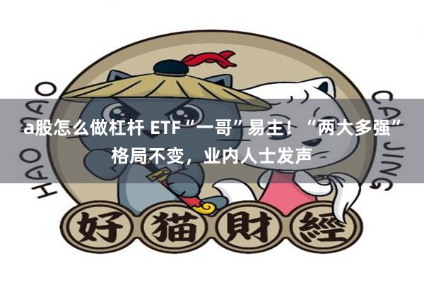 a股怎么做杠杆 ETF“一哥”易主！“两大多强”格局不变，业内人士发声