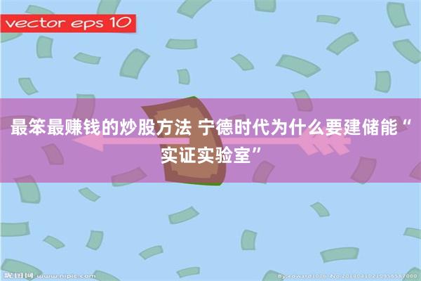 最笨最赚钱的炒股方法 宁德时代为什么要建储能“实证实验室”